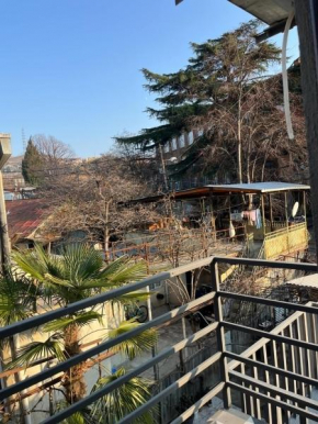 daily apartment in Tbilisi